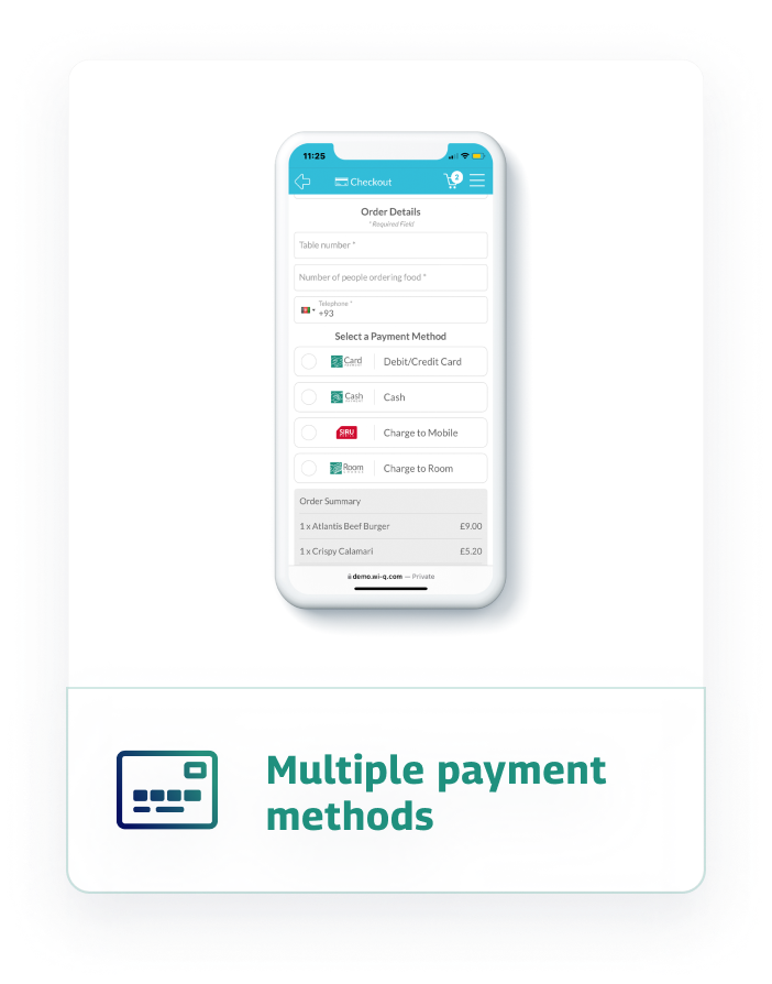 multiple payment method card